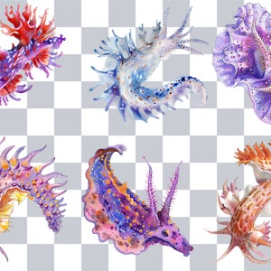 Puede incluir: Un conjunto de seis ilustraciones de acuarela de babosas marinas de colores. Las babosas se representan en varias poses, con detalles intrincados y colores vibrantes, incluyendo morado, rosa, naranja, amarillo y azul.