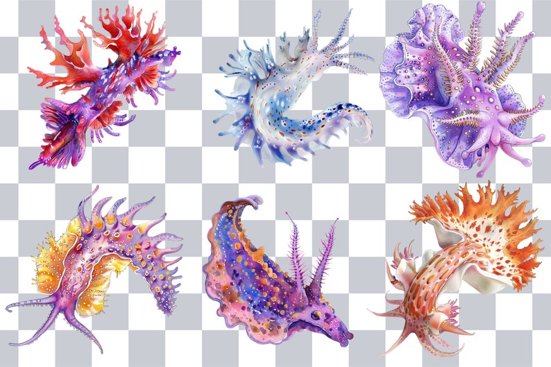 Puede incluir: Un conjunto de seis ilustraciones de acuarela de babosas marinas de colores. Las babosas se representan en varias poses, con detalles intrincados y colores vibrantes, incluyendo morado, rosa, naranja, amarillo y azul.