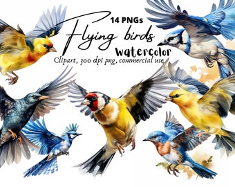 Watercolor Flying birds clip art, pretty bird printable, goldfinch graphics, bluebird clipart, bluejay print, PNG, instant download, 300dpi