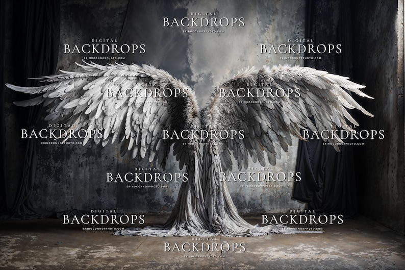 Angel Wings Digital Backgrounds for Photography | White Feather ...