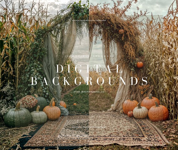 Autumn wedding backdrops | Beachweddingtips.com