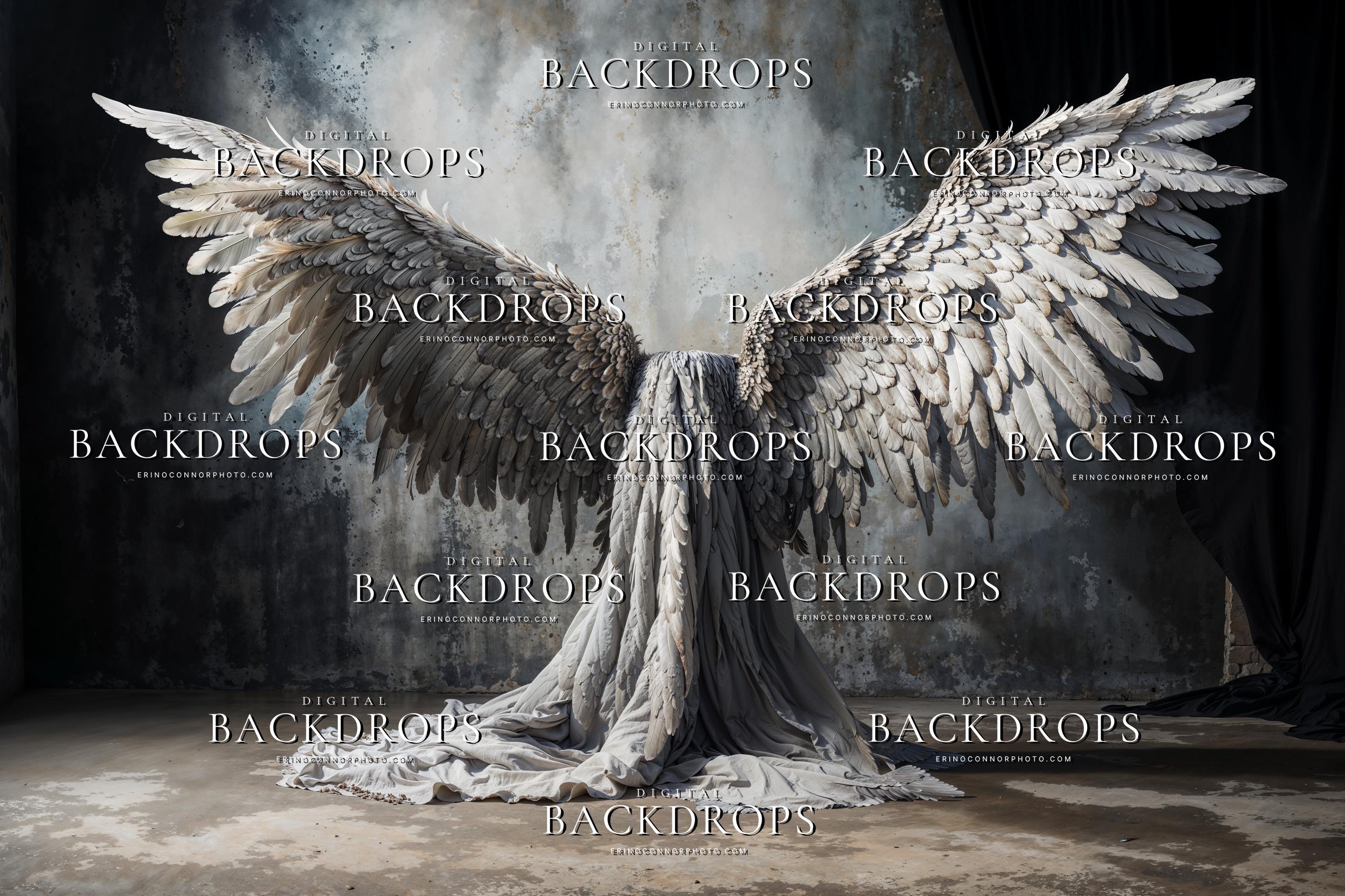 Angel Wings Digital Backgrounds for Photography | White Feather ...