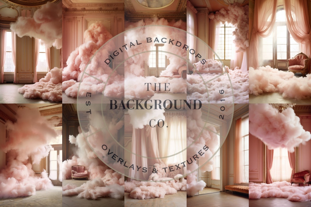 Whimsical Dainty Pink Cloud Rooms 10 Digital Backdrops Simple Vintage
