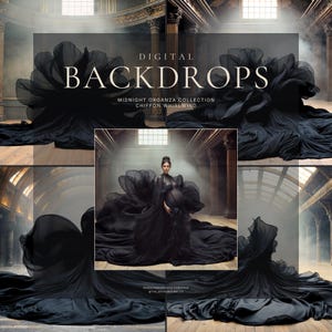 Draped Black Silk Chiffon | 6 Digital Backdrops | Majestic Ethereal Flowing Tossed Fabric | Dramatic Enchanting Fantasy | Dress-Skirt-Cape