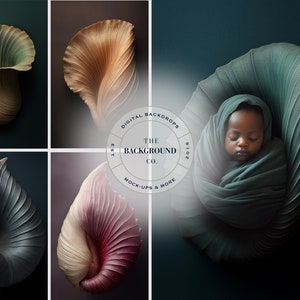 Newborn Digital Backdrops | Seashell Flowers Botanical Sculptures | Baby Kid &  Infant Photography | Fantasy Fine Art Composite Backgrounds