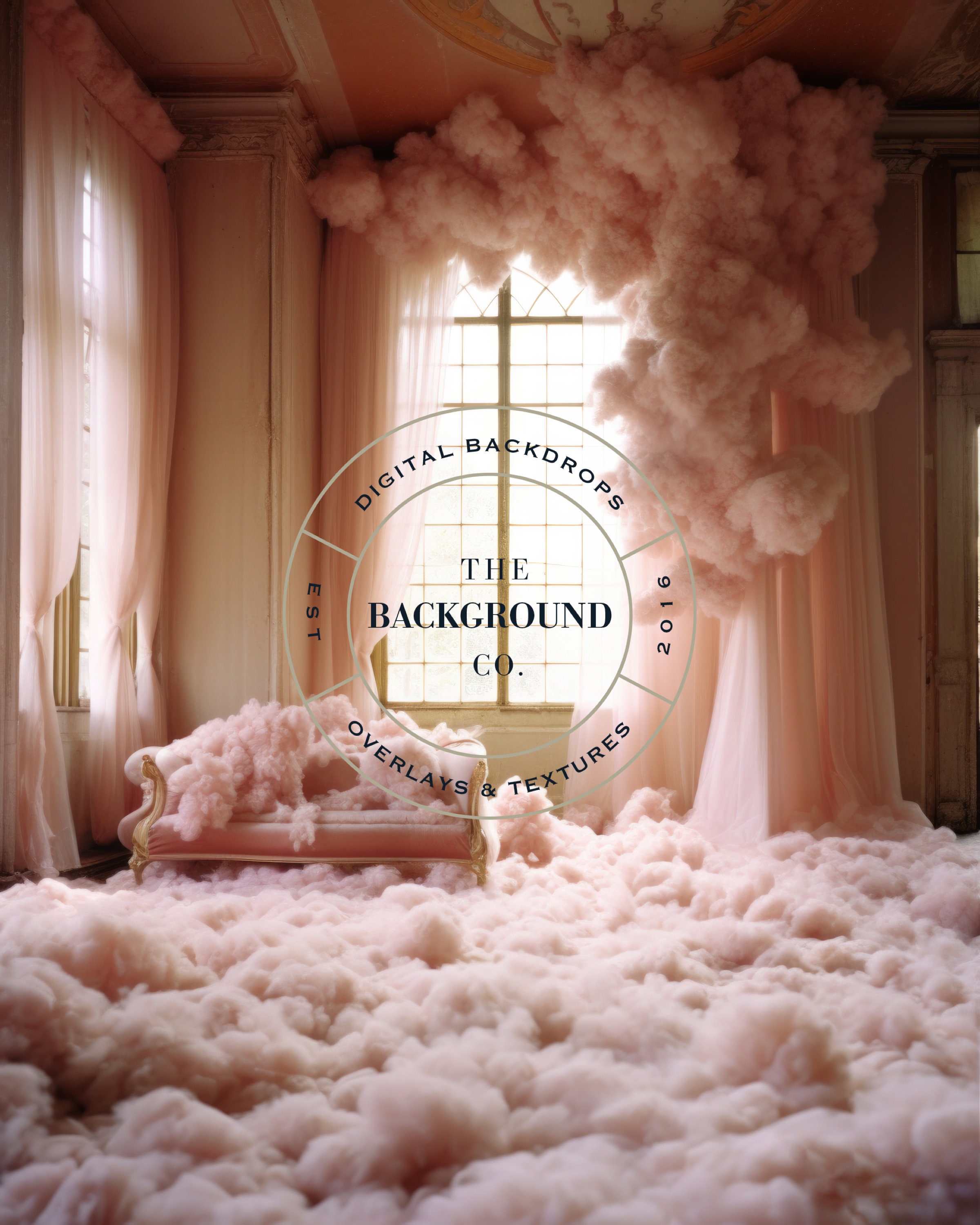 Whimsical Dainty Pink Cloud Rooms 10 Digital Backdrops Simple Vintage