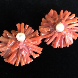Precious Italian Mediterranean Coral (.80”) European Design, Clip-Back