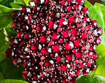 Antique Victorian-Bohemian Rose Cut Garnet Pin 1.60” (Czech, 1880-1900)