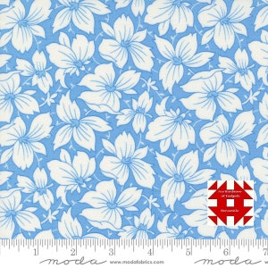 Moda Denim & Daisies by Fig Tree - Sunday Best Floral Print on Stonewashed (Item # 35381 16) - yardage