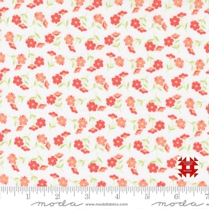 Moda Sunwashed by Corey Yoder of Coriander Quilts - Wildflower Toss Small Flower Print on Cloud (Item # 29162 11) - yardage