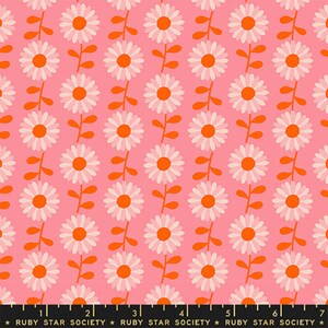 Flowerland: Field Of Flowers in Sorbet**ALMOST GONE** Flowerland: Field Of Flowers in Sorbet**ALMOST GONE**