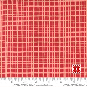 Può includere: Tessuto rosso e pesca chiaro con un motivo a griglia. Le linee della griglia sono irregolari, creando un aspetto disegnato a mano. Il tessuto è misurato con un righello.