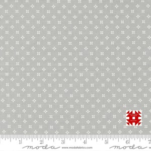 Moda Peachy Keen by Corey Yoder of Coriander Quilts - Seed Blender Print on Grey (Item # 29173 12) - yardage