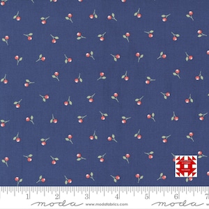 Moda Sunwashed autorstwa Corey&#39;a Yodera z Coriander Quilts - nadruk Bittie Buds na północy (nr artykułu 29164 21) - metraż
