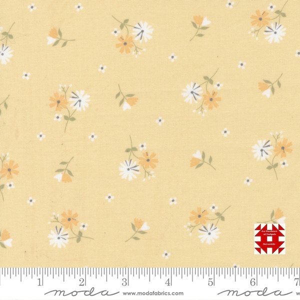 Moda Buttercup & Slate by Corey Yoder of Coriander Quilts - Small Daisy Floral Print on Buttercup (Item # 29153 13) - yardage