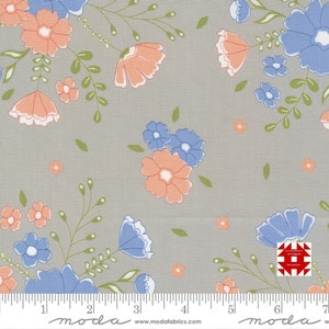 Moda Peachy Keen by Corey Yoder of Coriander Quilts - Moonlit Meadow Floral Print on Grey (Item # 29170 12) - yardage