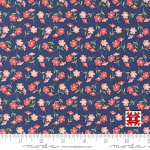 Moda Sunwashed by Corey Yoder of Coriander Quilts - Wildflower Toss Small Flower Print on Midnight (Item # 29162 21) - yardage