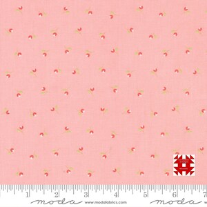 Moda Sunwashed autorstwa Corey&#39;a Yodera z Coriander Quilts - nadruk Bittie Buds na goździku (nr artykułu 29164 22) - metraż