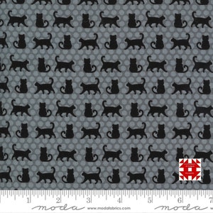 Moda Midnight Magic 2 by April Rosenthal of Prairie Grass Patterns - Cats in Mist (Item # 24102 16) - yardage