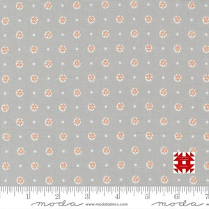 Moda Peachy Keen by Corey Yoder of Coriander Quilts - Posy Polka Blender Print on Grey (Item # 29174 12) - yardage