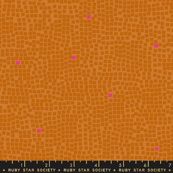 Pixel by Rashida Coleman-Hale for Ruby Star Society - Pixel Print in Earth (Item # RS1046 23) - yardage