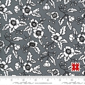 Moda Midnight Magic 2 by April Rosenthal of Prairie Grass Patterns - Floral in Mist (Item # 24100 14) - yardage