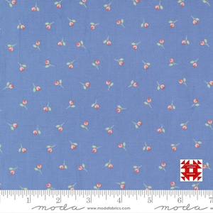 Moda Sunwashed autorstwa Corey&#39;a Yodera z Coriander Quilts - nadruk Bittie Buds na niebie (nr artykułu 29164 20) - metraż