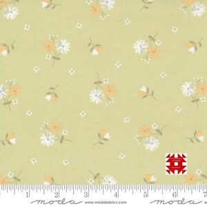 Moda Buttercup & Slate autorstwa Corey&#39;a Yodera z Coriander Quilts - Mały kwiatowy nadruk stokrotki na gałązce (nr artykułu 29153 15) - metraż