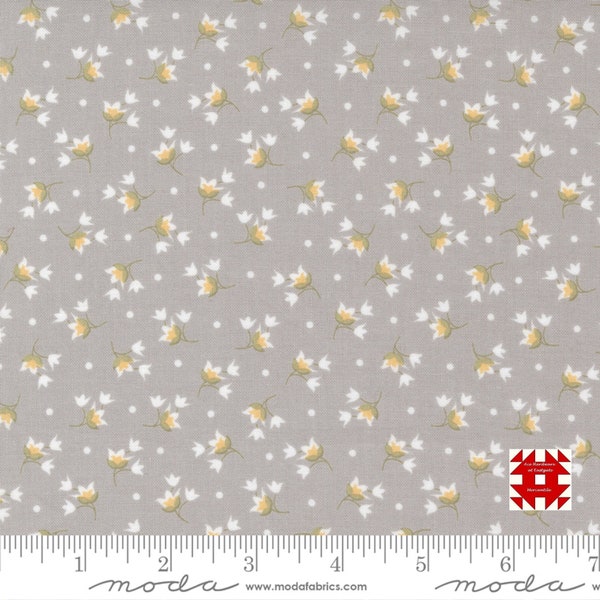 Moda Buttercup & Slate by Corey Yoder of Coriander Quilts - Small Tulip Floral Print on Pebble (Item # 29154 16) - yardage