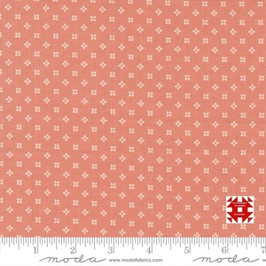 Moda Peachy Keen by Corey Yoder of Coriander Quilts - Seed Blender Print on Coral (Item # 29173 19) - yardage