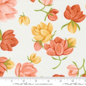 Moda Kindred by 1 Canoe 2 - Petaluma Floral Print on Cloud (Item # 36070 11) - yardage