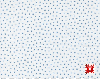 Plan Moda par Camille Roskelley - Impression mélangeur Blue Starlight sur blanc (article n° 55337 11) - métrage