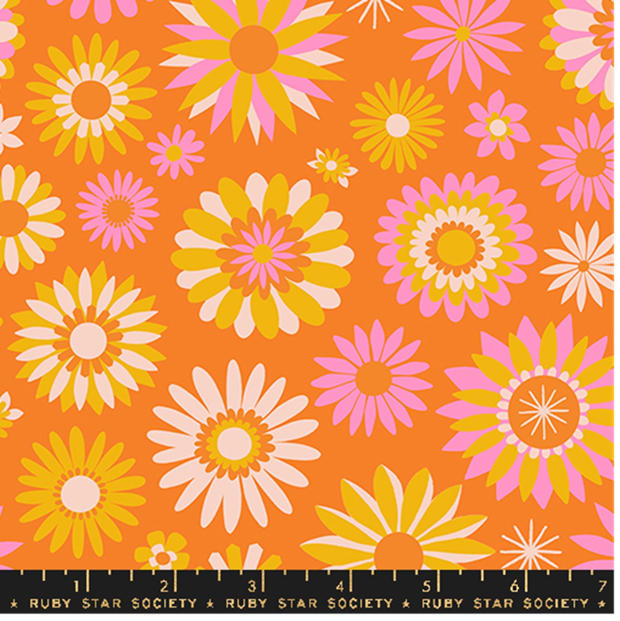 Ruby Star Society Carousel by Melody Miller - Kaleidoscope Print