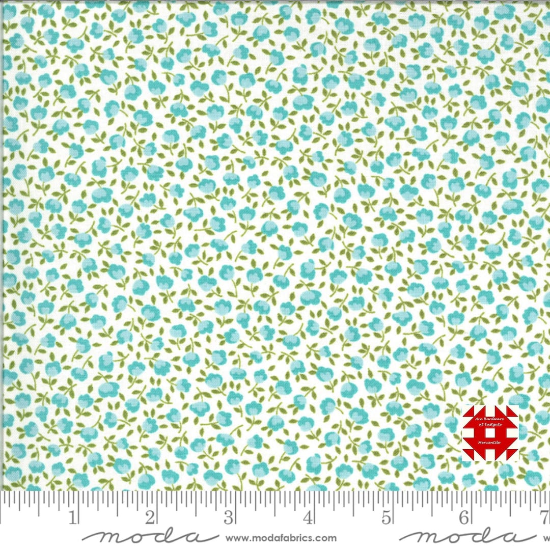 Moda Pocketful of Posies by Chloe's Closet Small Robin's Egg Blue