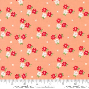 Moda Laguna Sunrise von Sherri & Chelsi - Morning Glory Blumenbild auf Honigmelone (Artikel # 37682 13) - Meterware