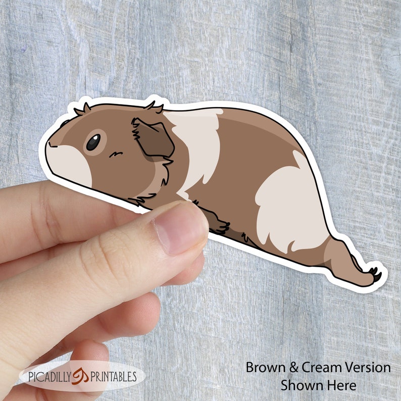 May include: Brown and cream colored guinea pig cartoon sticker. The guinea pig is lying on its side with its head turned to the left. The sticker is being held by a hand.