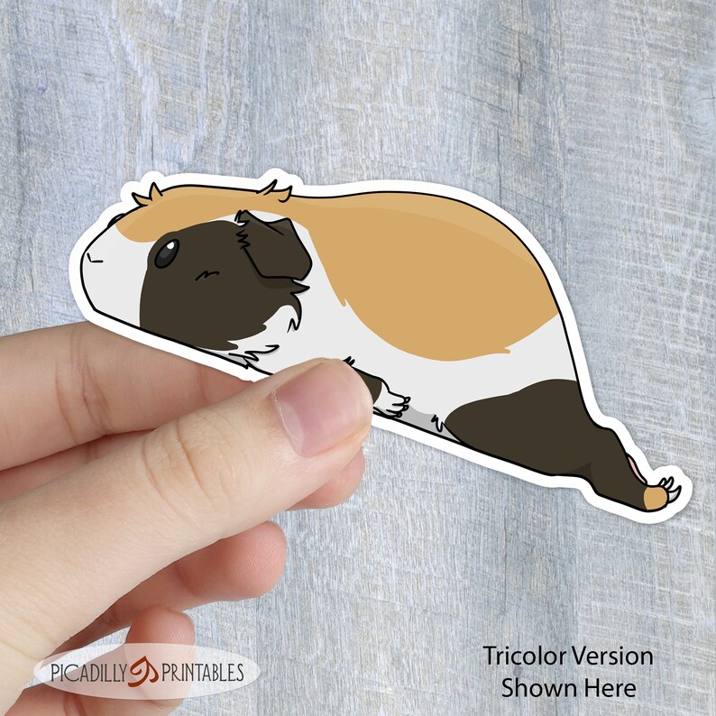 May include: A sticker of a cartoon tri-color guinea pig with brown, white, and orange fur. The guinea pig is lying on its side with its head turned to the left. The sticker is on a wooden surface.
