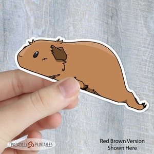May include: Red brown guinea pig sticker with a white outline. The guinea pig is shown in a curled up position with its head turned to the side. The sticker is being held by a hand.