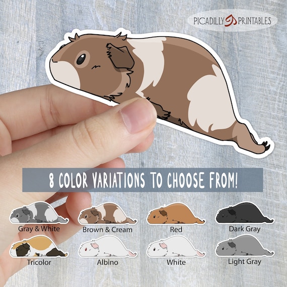 Pooped Pig Cute Guinea Pig Sticker - 8 Guinea Pig Color Choices - Albino, Black, Brown/Cream, Grey, Grey/White, Red, Tri-color, White