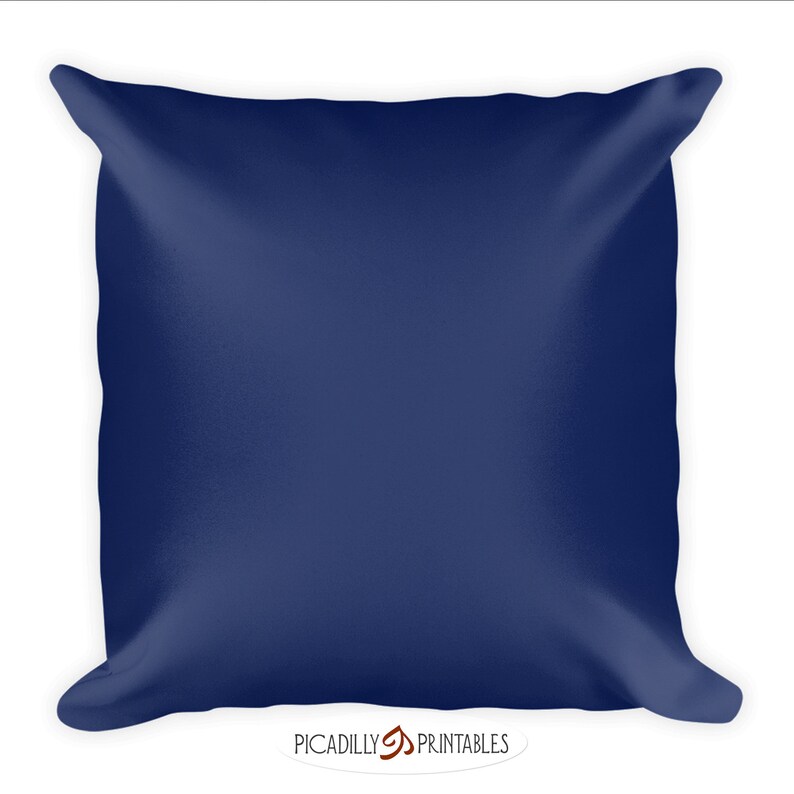 Colorado Born and Bred CO State Flag Native Coloradoan Decorative Accent Pillow 18 x 18