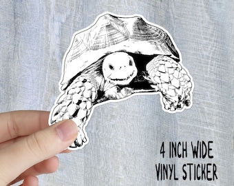 Sulcata Sticker African Spurred Desert Tortoise Turtle - 2 Variations to Choose From - 4 Inch Wide Vinyl Sticker