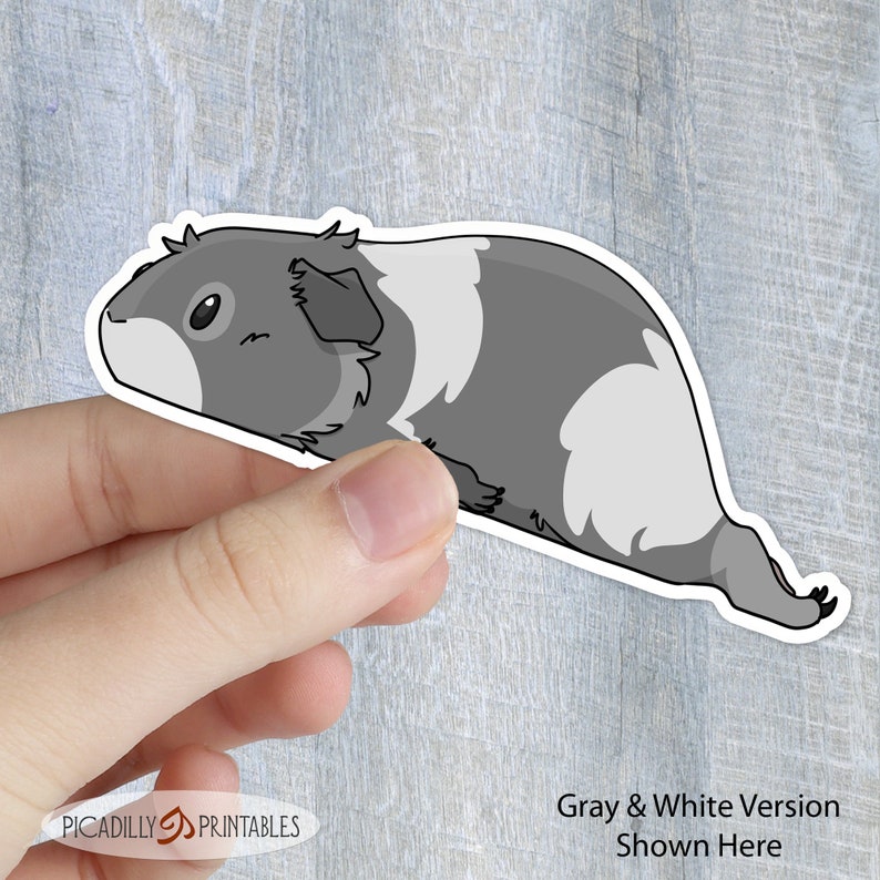 May include: Gray and white cartoon guinea pig sticker. The guinea pig is lying on its side with its head turned to the left. The sticker is being held by a hand.
