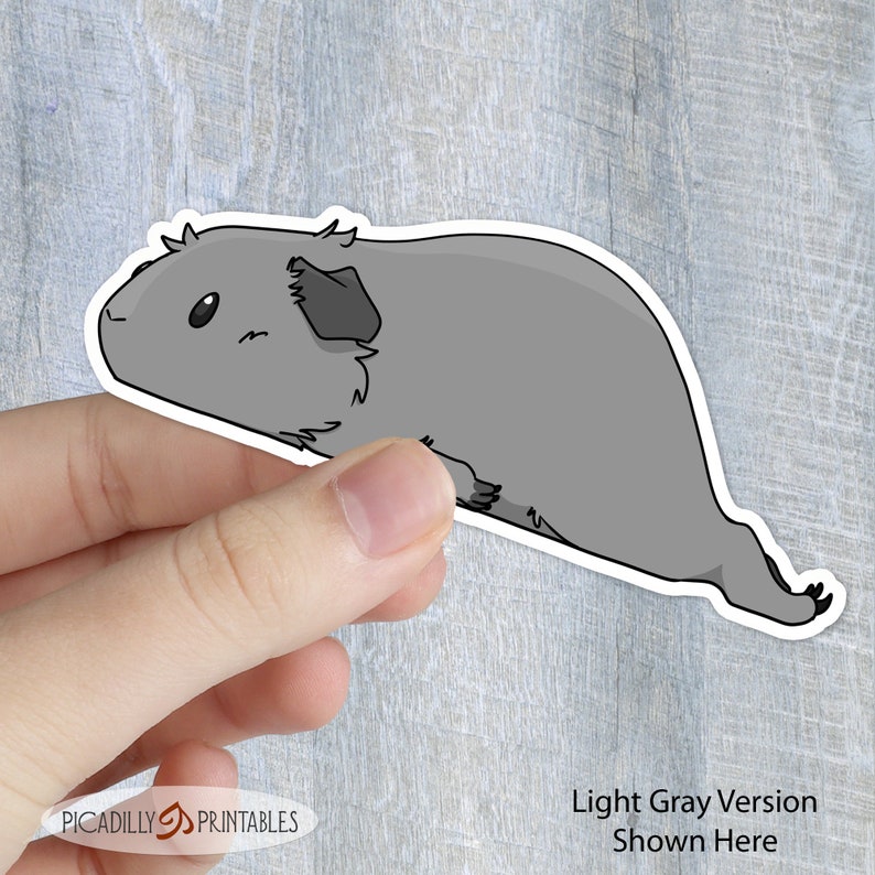 May include: A light gray cartoon guinea pig sticker with a white outline. The guinea pig is lying on its side with its head turned to the left. The guinea pig has a small black nose, black eyes, and a small black ear.