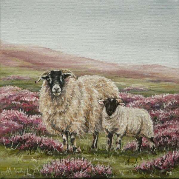 Original Canvas by Alison Armstrong - Farm Animal Sheep Painting -Blackface Sheep
