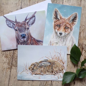 Lot de 3 cartes de Noël animal sauvage - Cerf, lièvre et renard
