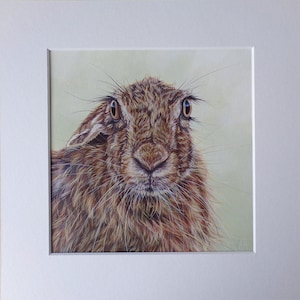 Brown Hare- Dipinto originale di Alison Armstrong
