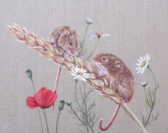 Original Painting by Alison Armstrong - Wildlife/ Animal Canvas - Harvest Mice