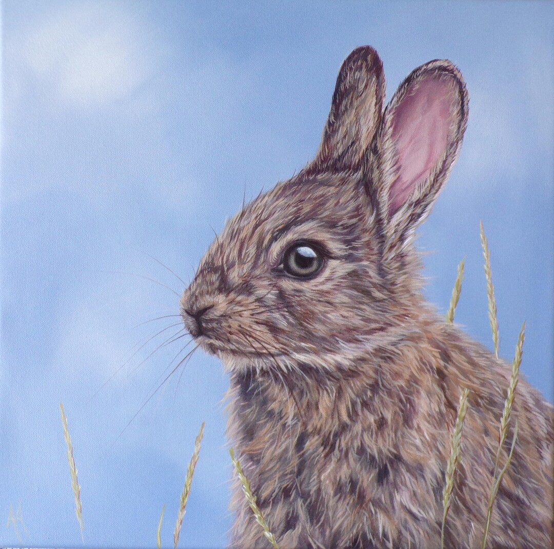 Rabbit - Original Painting by Alison Armstrong - 10 X 10 Inches - Etsy