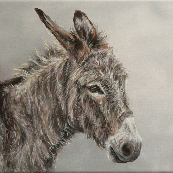 Original Painting by Alison Armstrong - Farm Animal Canvas - Donkey