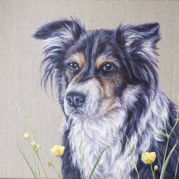 Peinture originale par Alison Armstrong - Toile animale - Border Collie Dog